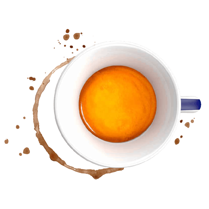 Caffè Borbone Respresso, Miscela Blu - 100 Capsule - Compatibili con le  Macchine ad uso domestico Nespresso : : Alimentari e cura della  casa